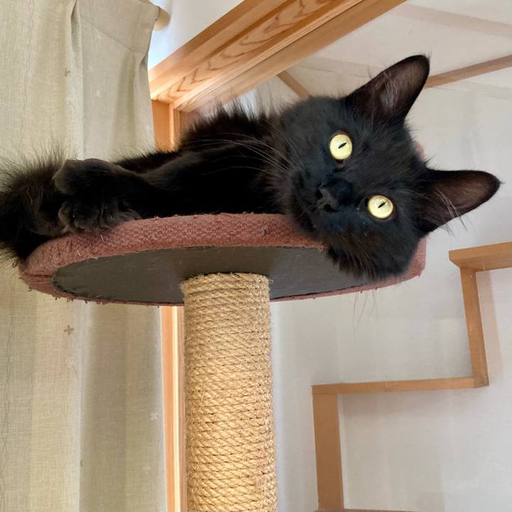 35b5a35a 392c 4c1e b5d5 4e68f4394838 1752380202609