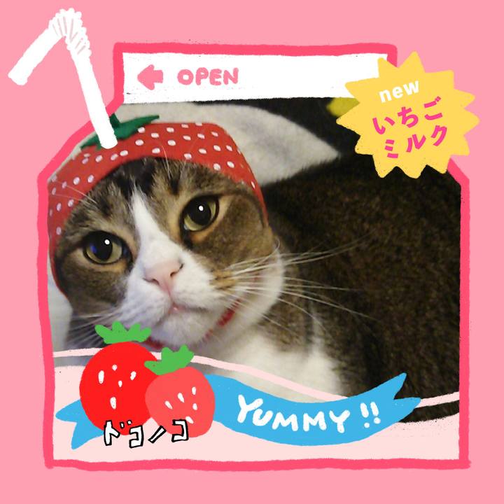 35b5ef57 9d64 4c52 98e3 18c19dcf604a 1710993597921