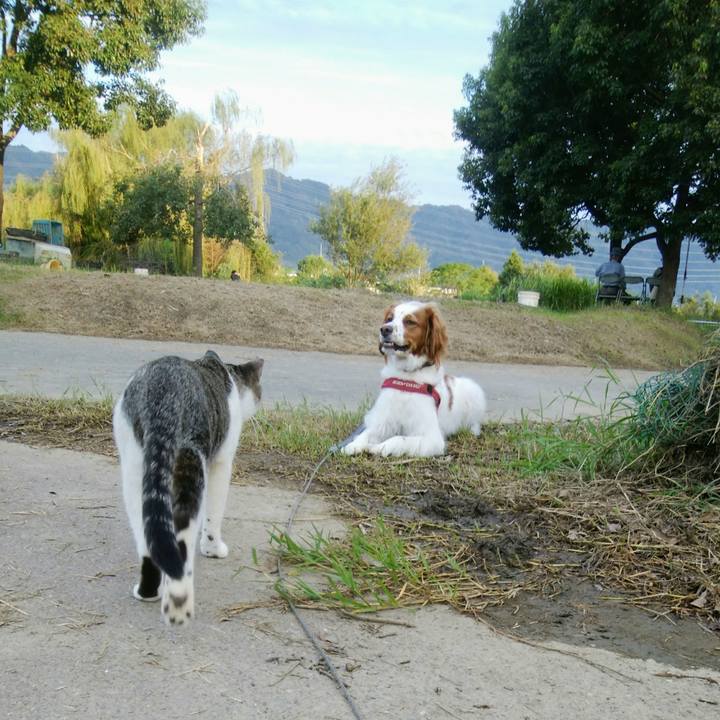 35b5f43e 5c9a 4941 b67a 454dfd1e4b68 1537693567101