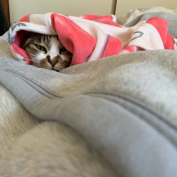 35b606ff edb1 48e8 857c 8584765b8dbb 1574296271814