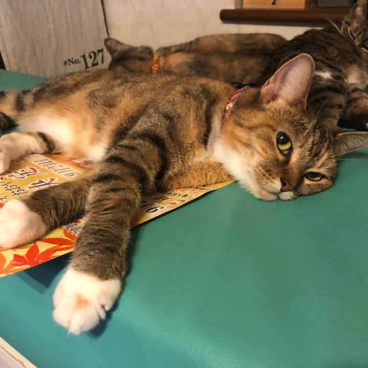 35b6240c ee57 4938 96b4 84cf19844909 1568464553050