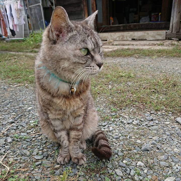 35b64c4e e6c5 43e0 ba49 7c5c12eb95b6 1600375349264