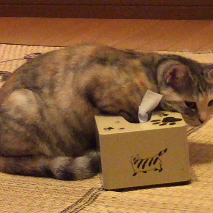 35b66748 30db 4cd0 b01c 755eda9efcdb 1547134434605