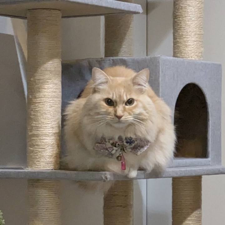 35b67f5d 6b40 4a1a b7be 2d8bcf1a3b14 1767792949734