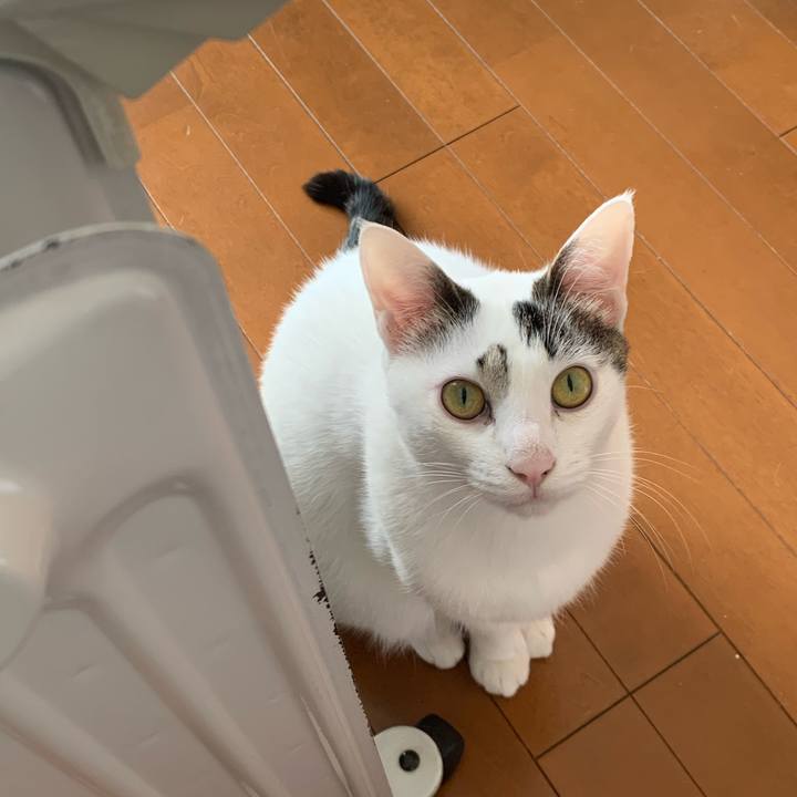 35b6ac7e f062 40ed a66a a4806c961e51 1640613658176