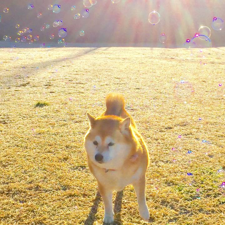 35b6d925 417b 45ff 80f7 5b9dd51b21fe 1609042870071