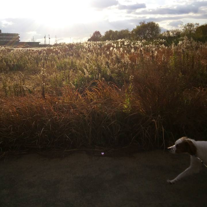 35b6f00b edaf 451e 8bb6 4f8f3e04007f 1512807662483