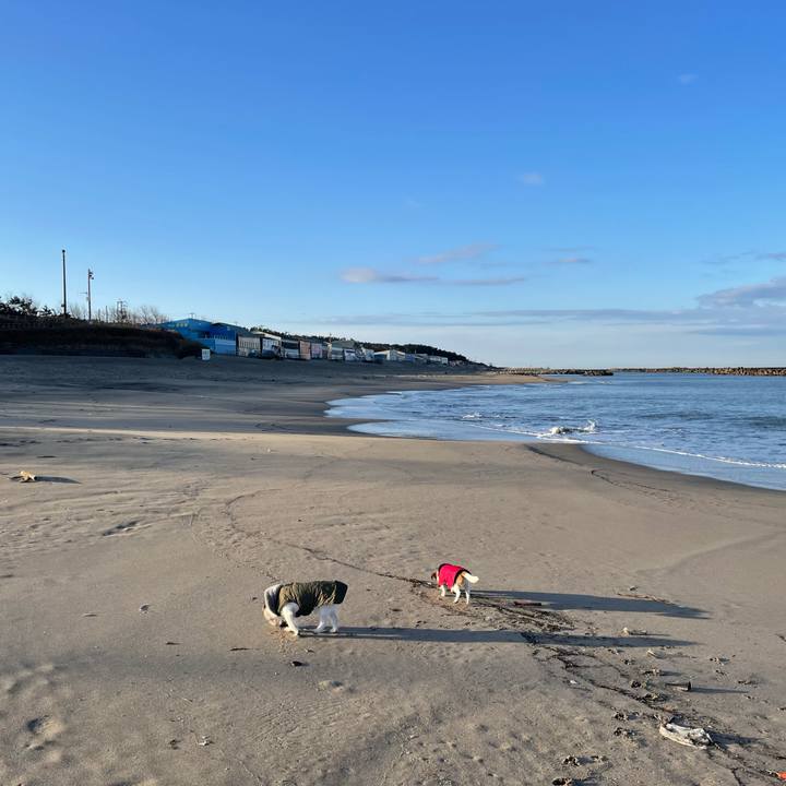 35b6ffbf b19f 402c abc5 cfee451966a3 1640738267148