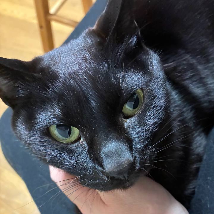 35b740e8 85be 4ff3 bff3 d499a5ddfd2c 1743765509069