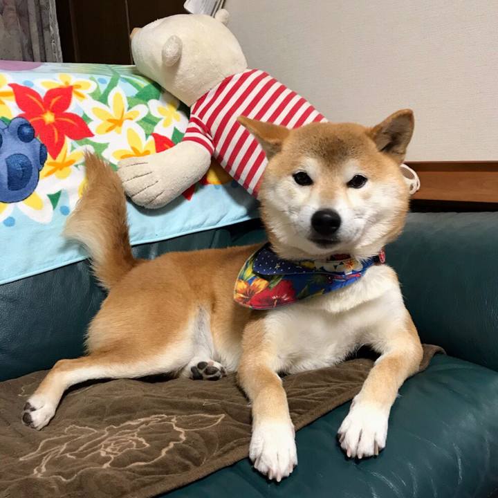 35b757bd 31a5 42b2 8c40 480737cf0d40 1544699532486