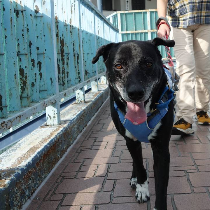 35b766b3 02e4 4328 a295 d391afb41218 1721356030805