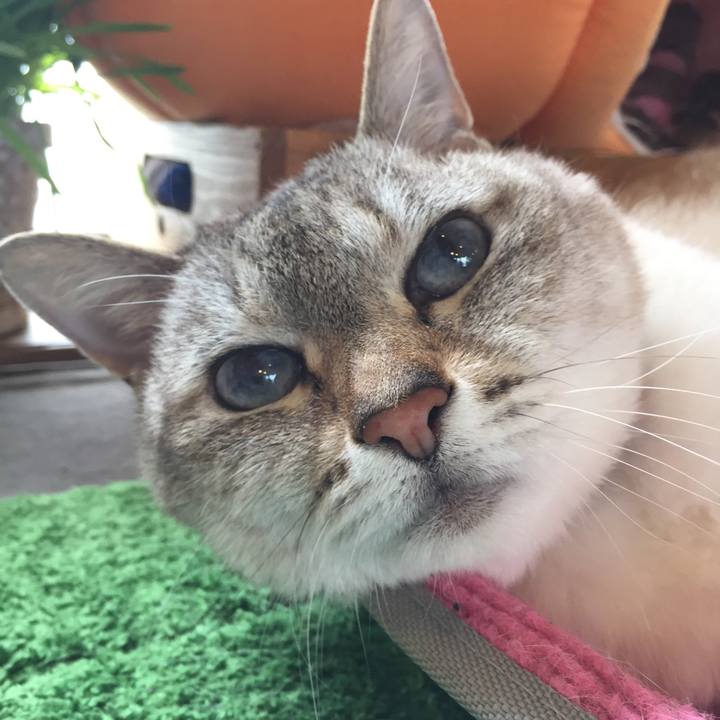 35b7eb9e 723e 4703 8117 04304e07a572 1557386415652