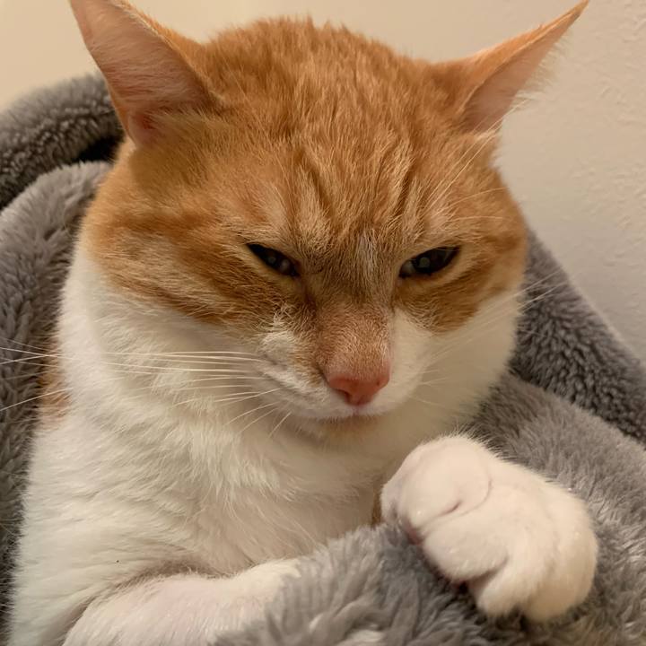 35b7fde8 3bd1 464d b369 58e885063fbd 1679703245935