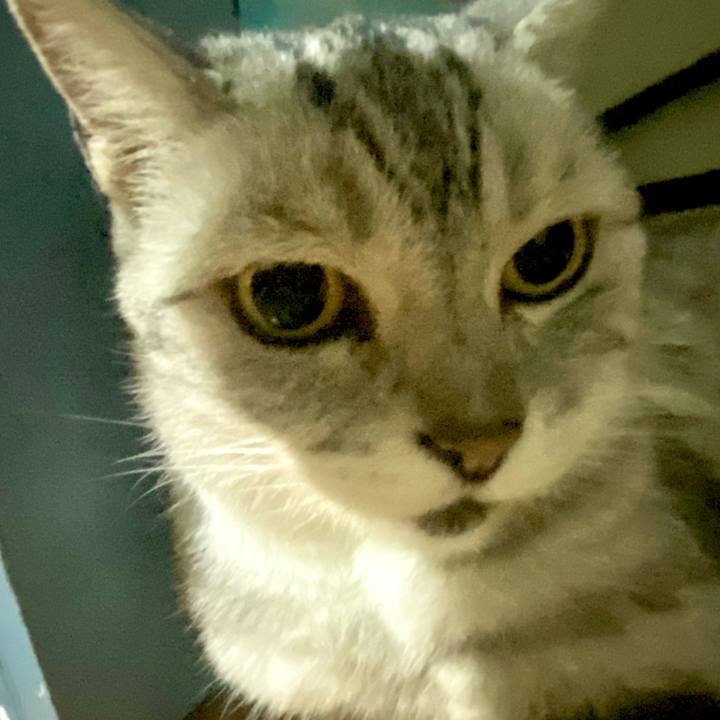 35b818e9 9969 41f1 af1b 754f7cea4ace 1753368093923