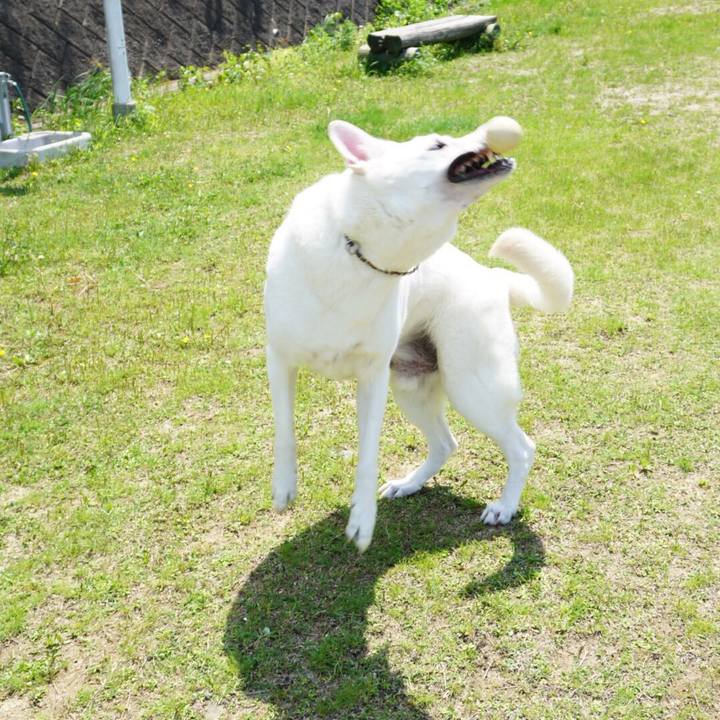 35b81c78 6ae6 461d 98d7 672b568ed09d 1564748928513