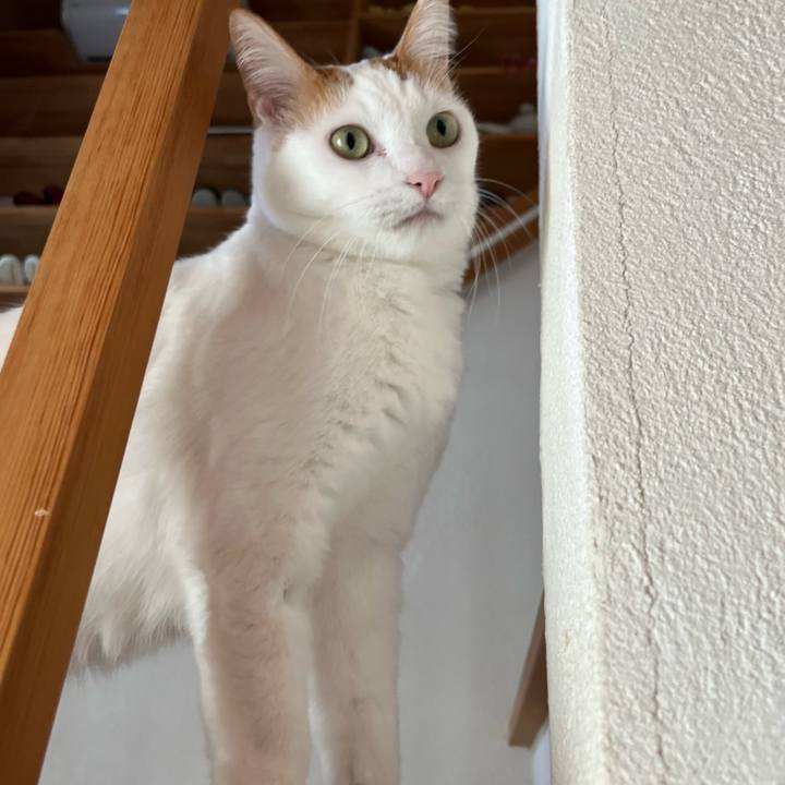 35b847bd b63c 415c bf21 a53e88eb7784 1763910716933