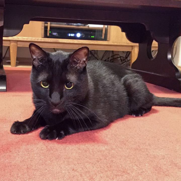 35b86ac9 dca1 4dce b05f ef4588d829ee 1528200652661