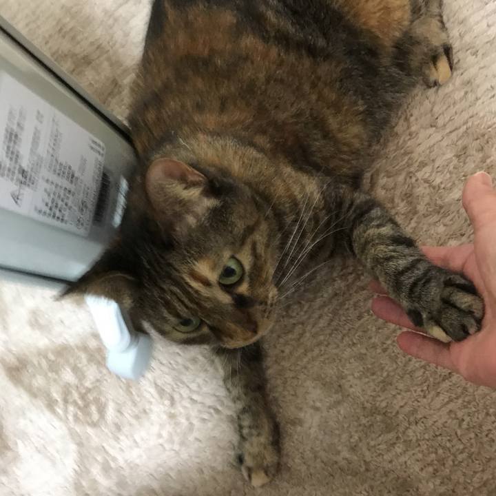 35b87d2a b32a 4570 8800 950222a4bc7b 1516448806518