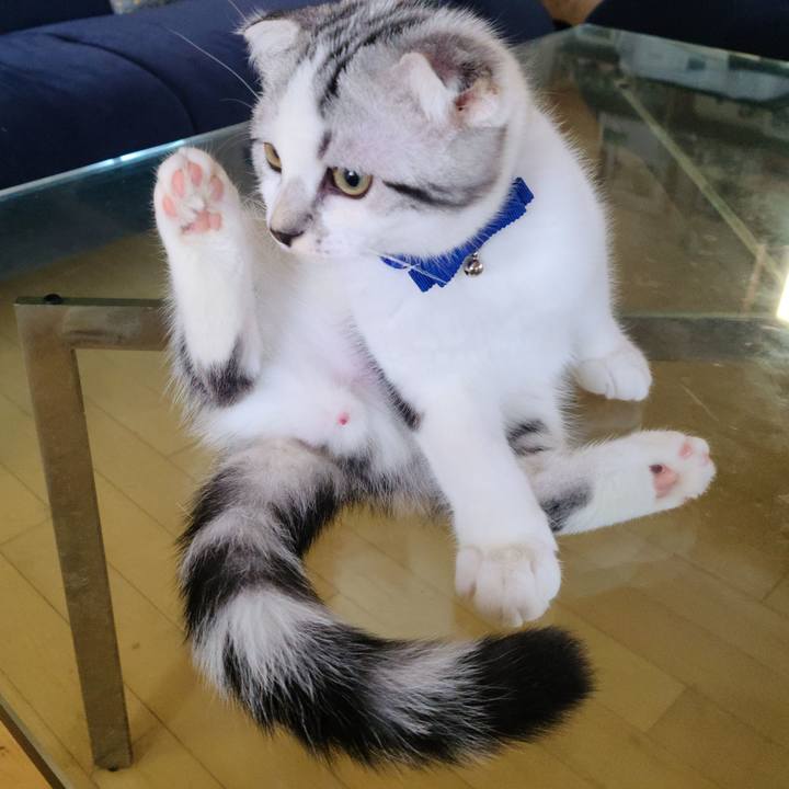 35b8867c 253b 4ac2 838b 15159b255c16 1629705905824