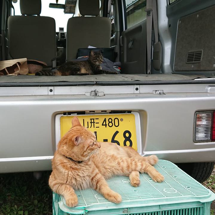 35b88dea 17aa 457f 992a c53396fd8ba0 1657082350356