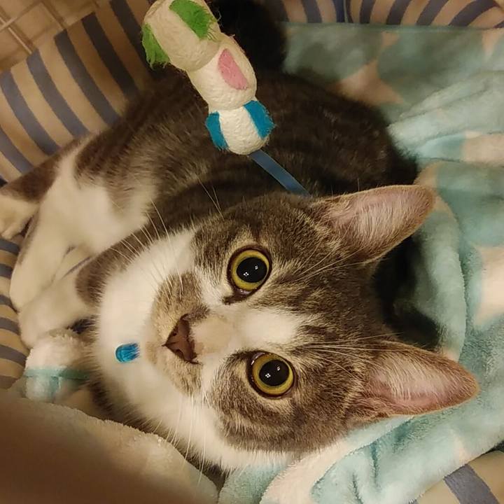 35b898a9 0d18 4f9e 8250 55288d9cd4d4 1572797140495