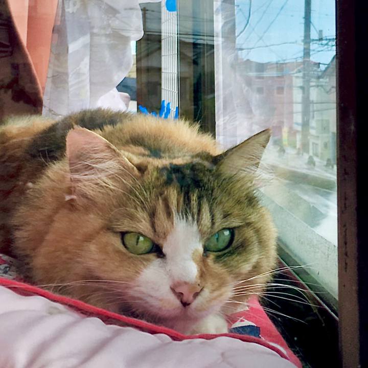 35b8a9ff f6cd 4423 a212 3b757c80dccb 1600329491720