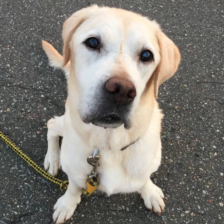 35b90d12 e6c8 4d63 b1de a27f7b533dd3 1534590034231