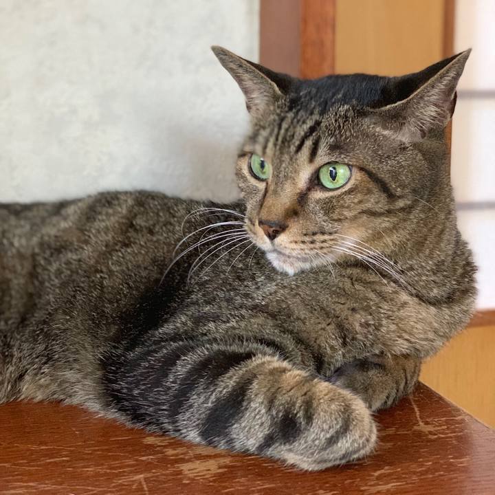 35b99caa f14f 4522 ab87 33980dbd2626 1567640745858