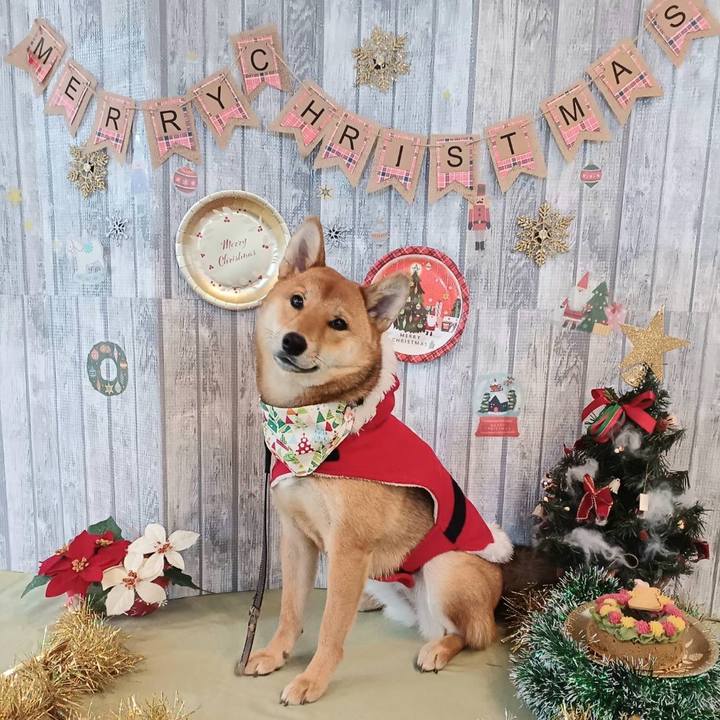 35b99d87 ab95 4a70 b6aa e35eab0f07d3 1671836819530