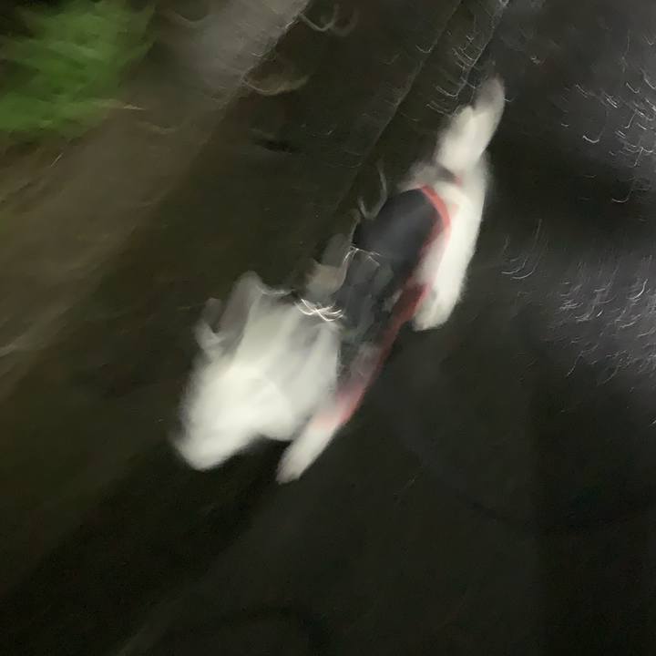 35b9f823 1a76 4859 962f 2a290593cb97 1708865756767