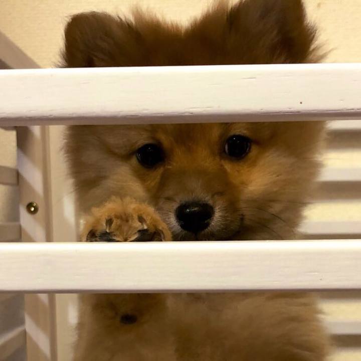 35ba172e 3604 468c 85b5 59350bc9a42c 1575516881096