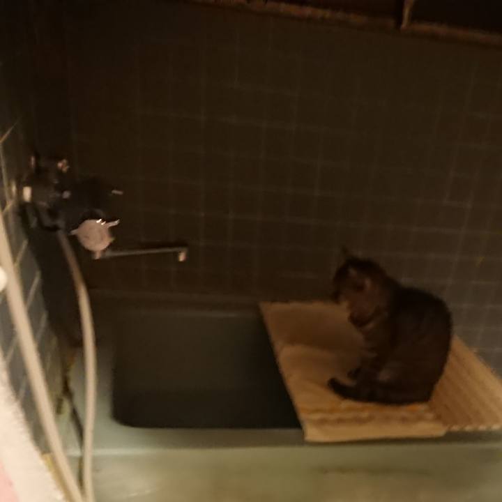 35ba17a2 fd38 4638 a66d ddb71778b58a 1579424142048