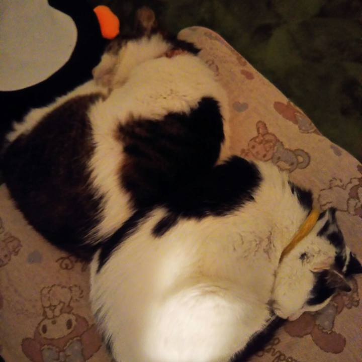 35ba37f9 ddab 4539 baf0 8e6141dbbda5 1557932557357