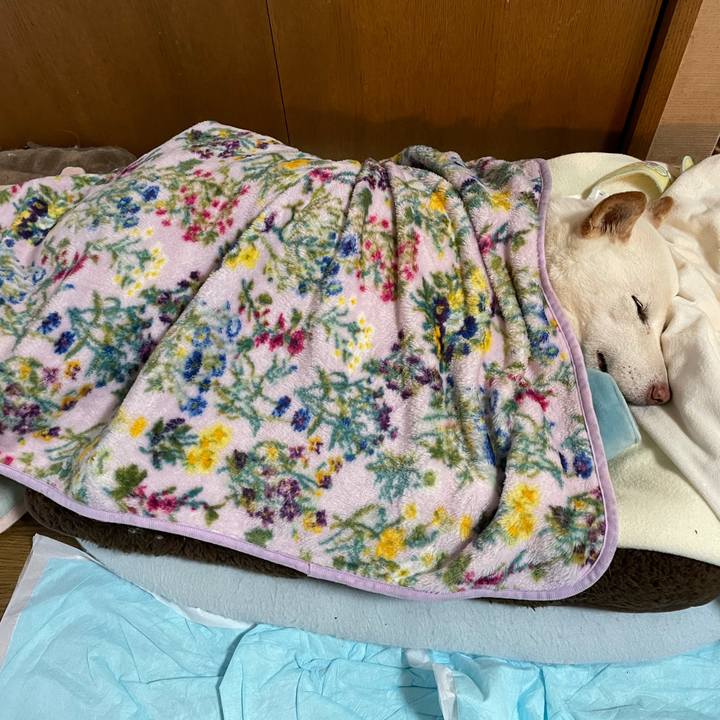 35ba6662 f043 4492 9e27 680cb187c7b7 1634868547780