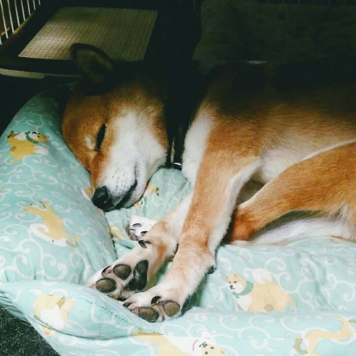 35bab093 1c5b 4645 97b1 8468411c4765 1566569809429