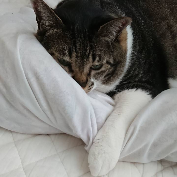 35baca3b 3d09 4ee6 bc8a a3824f8a10da 1559688390143