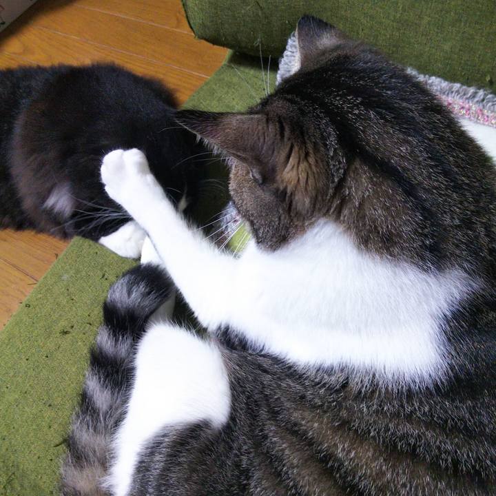 35badb2b ea0d 4e95 bcb4 8a03650fe6da 1652737043290