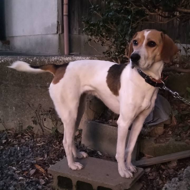 35bae4c9 dce0 40fb 9837 f26f7bc167bb 1639045629124