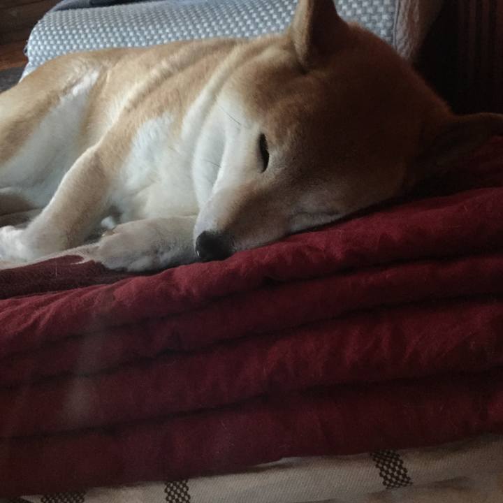 35baed2a d913 4079 a035 f481d0b3e7e6 1512344461281