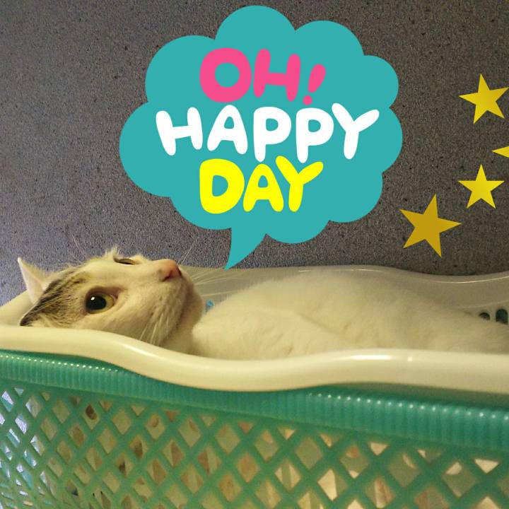 35bb2085 3eca 4273 9466 9c01576dcbc3 1528157496642