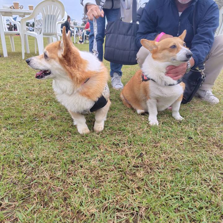 35bb3ad9 3bb5 4af3 97dd 34597c3cba31 1760873932838