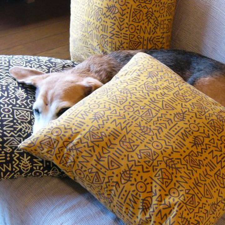 35bb6a6e 6d17 4142 ae22 e0f25ba90411 1656806680905