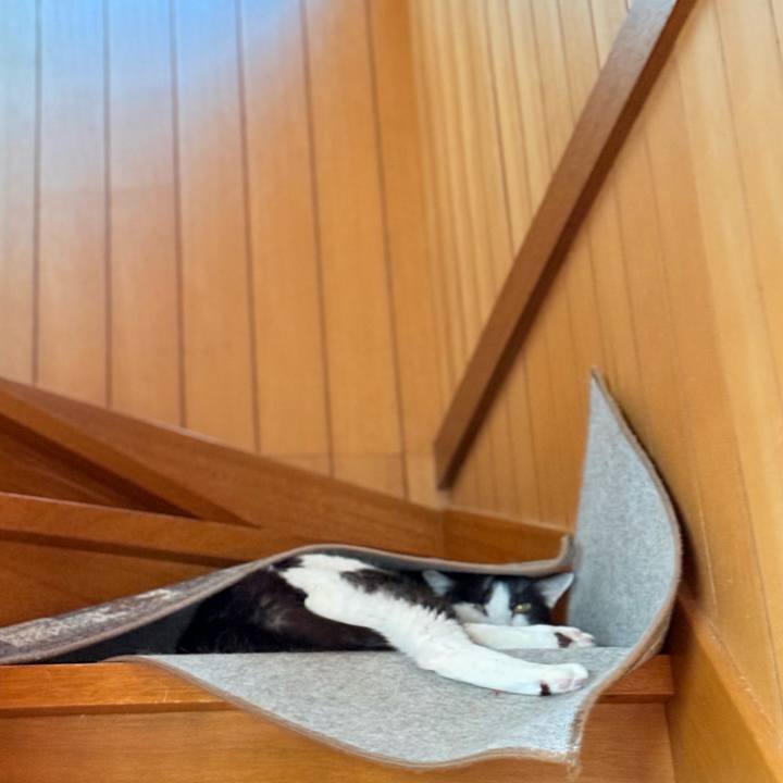 35bb7aae de16 4d77 9754 d58adf259714 1760493662014