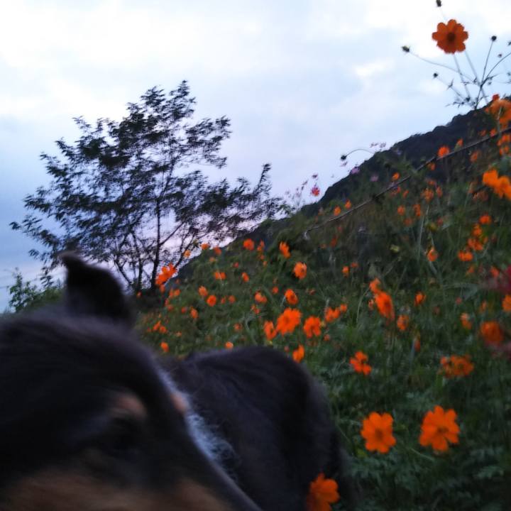 35bb88aa 47c1 46c7 bf52 728665d340ef 1569505567440