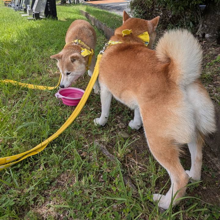 35bbaa45 5aa2 4b82 b5bc 04942c4f316a 1753618719047