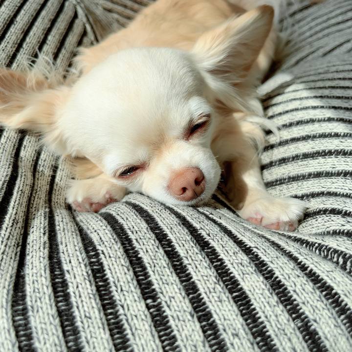 35bbde61 8c97 4fb7 a4fb 54e0bf5acad4 1710903704226