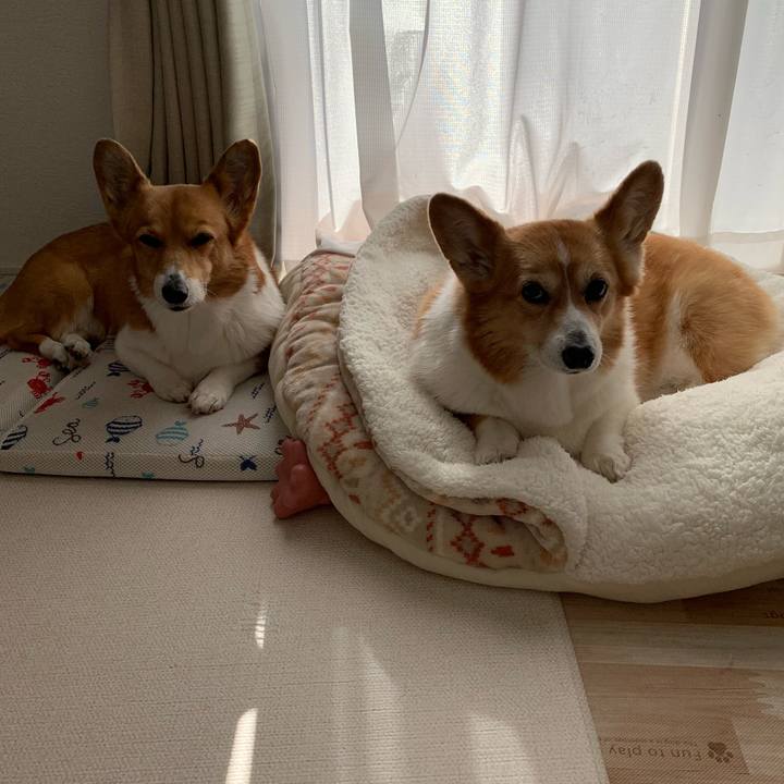 35bbe954 7856 4058 85fe d7b6a74bfadf 1703818286098