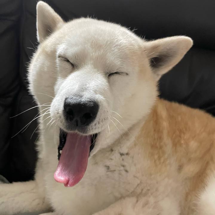 35bbee26 cf98 4e88 9058 94d9c4e16874 1650881731220