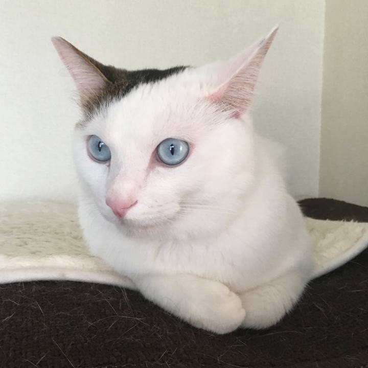 35bc0a77 9485 4fff 80dd 52bad0926fcd 1690770852254