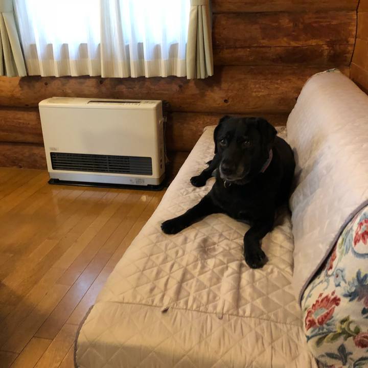 35bc34df df64 4034 814e 950f2a84908f 1534668089570